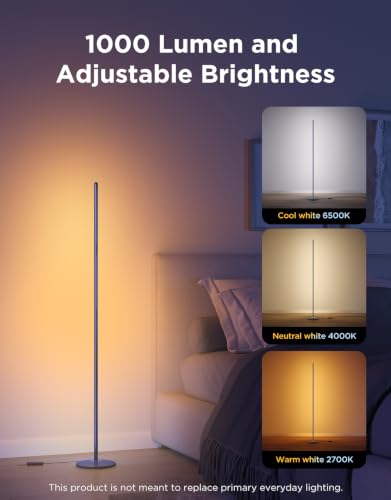RGBIC Floor Lamp