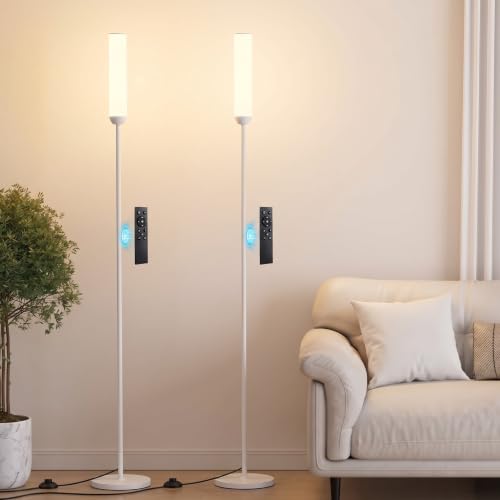 LED Floor Lamps with Remote Control Set of 2 (white 2PCS / 65 inches 2 Pack)
