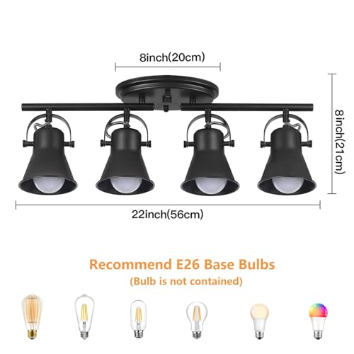 4 Light Track Lighting Kit (4-Light / Black)