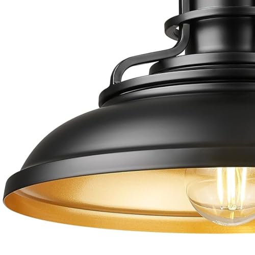 Outdoor Pendant Lights for Porch