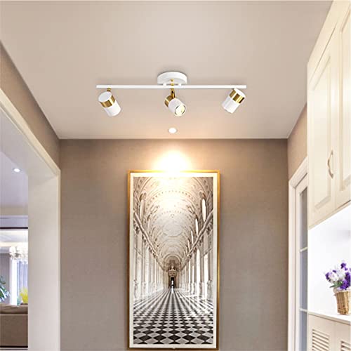 White 3 Lights Track Lighting Fixtures (White)