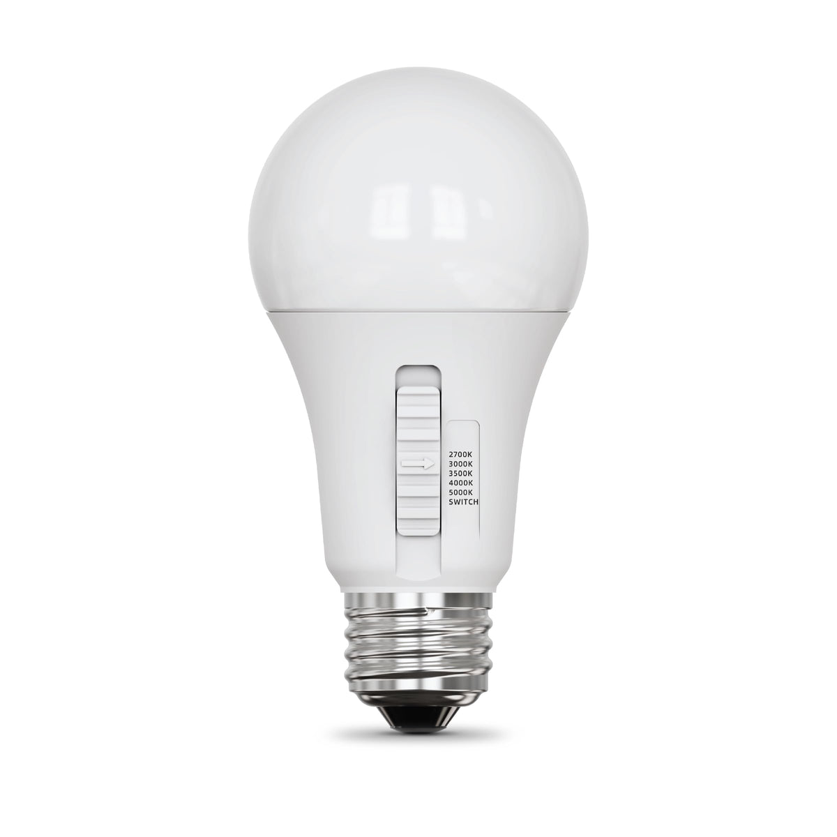 LED Light Bulbs (A21 - 4 Pack)