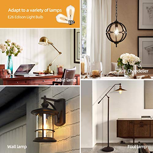 Vintage LED Edison Bulbs 4W ST58 (Amber Glass-2700k / 6 Count (Pack of 1))