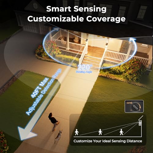 Large Motion Sensor Outdoor Light (Large Motion Sensor 1 Pack / Black)