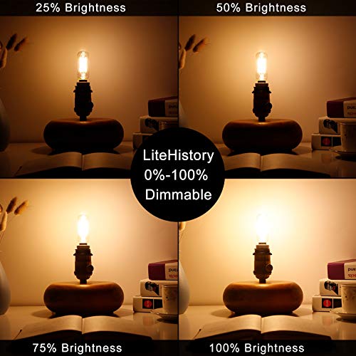 T6 E12 Candelabra Bulb 40 watt (Warm White 2700k 4w)
