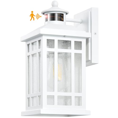 White Dusk to Dawn Outdoor Lighting (White / Motion Sensor-1 Pack)