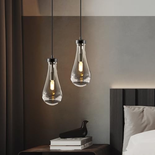 Set of 2 Raindrop Pendant Lights (Black / Set of 2)
