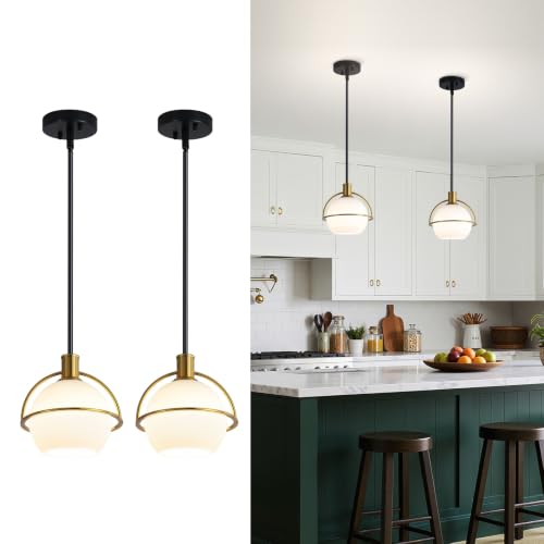 2 Pack Modern Mid Century Globe Pendant Lights (Black and Gold / 2 Pack)
