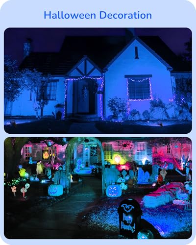Hallowee PAR38 Blue Flood LED Light Bulbs (Blue)