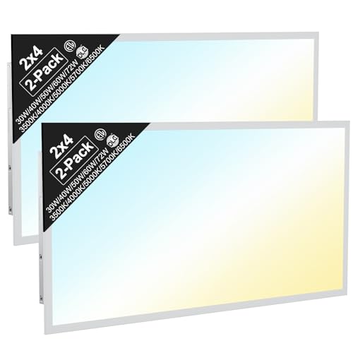2x4 LED Flat Panel Light (2x4FT-2pack)