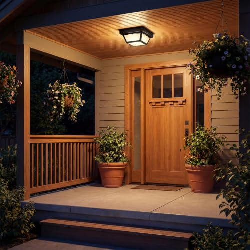 1 Light Indoor and Outdoor Flush Mount Ceiling Light (Textured Black / 8.25-Inch Diameter x 4.75-Inch Height / 1-Light)