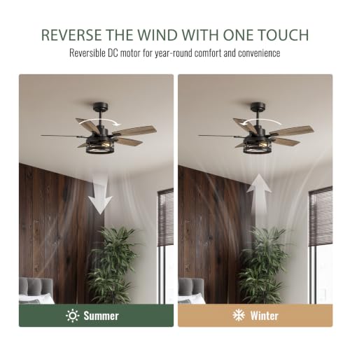 Inch Ceiling Fan with Light and Remote Control (Black / 42 Inch)