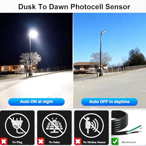 300W Dusk to Dawn Outdoor Light (100W*3-DTD)