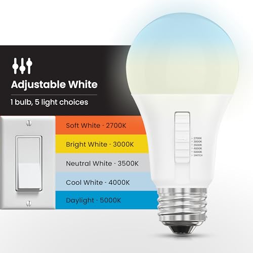 LED Light Bulbs (A19 - 4 Pack)