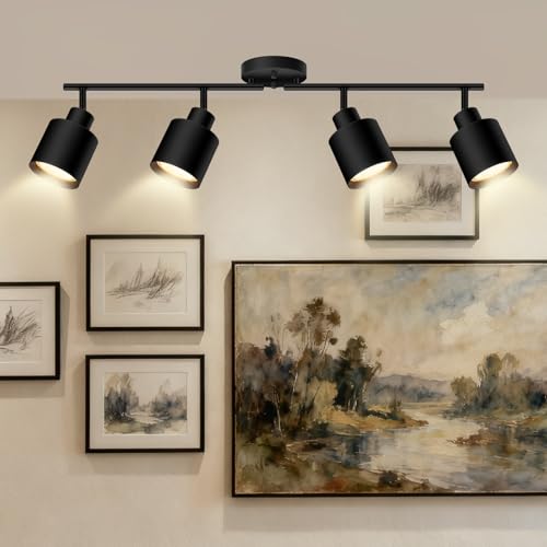 4 Light Led Track Lighting (4 light Black)