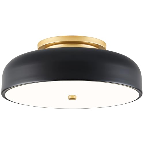 Dimmable LED Ceiling Light Fixture