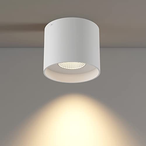 Flush Mount LED Cylinder Ceiling Light for Living Room