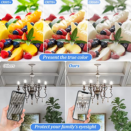 Candelabra 40W Equivalent LED Light Bulbs (5000k Daylight White / 6 Pack)