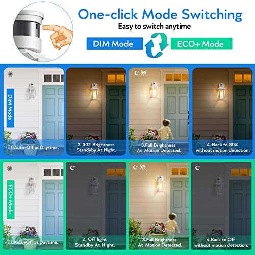 Motion Sensor Outdoor Exterior Light Fixture (White / Standard 1-Pack)