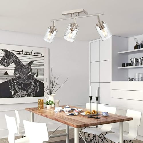 Track Lighting Fixtures Ceiling (Brushed Nickel / 3 Lights)