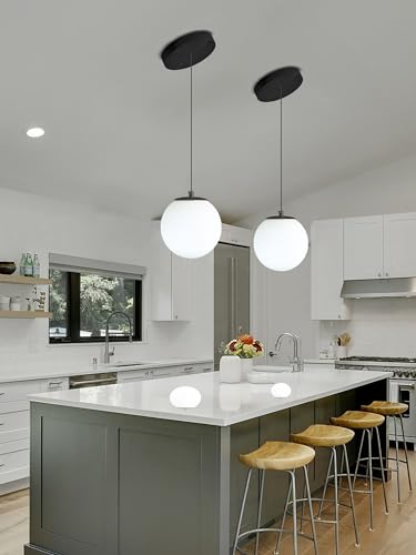 Globe Pendant Light (Black-White / Globe 1-Light)