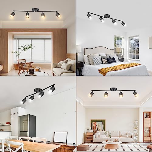 LED 4 Light Track Lighting Kit (4 Light)