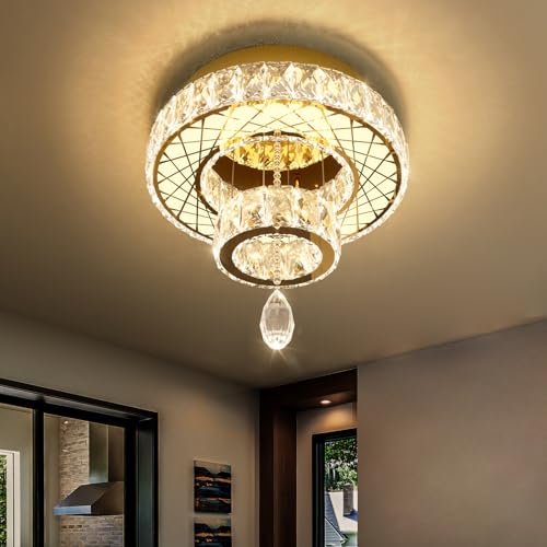 Chandelier Bedroom LED Light Modern Hallway Ceiling Lighting Fixtures for Kitchen Dining Room Kitchen Remote Dimmable Gold Lights (16 inch / Gold)