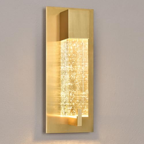 LED Wall Sconce Light