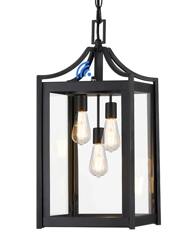 Outdoor Pendant Lights for Porch (Black / Large-Clear Glass)