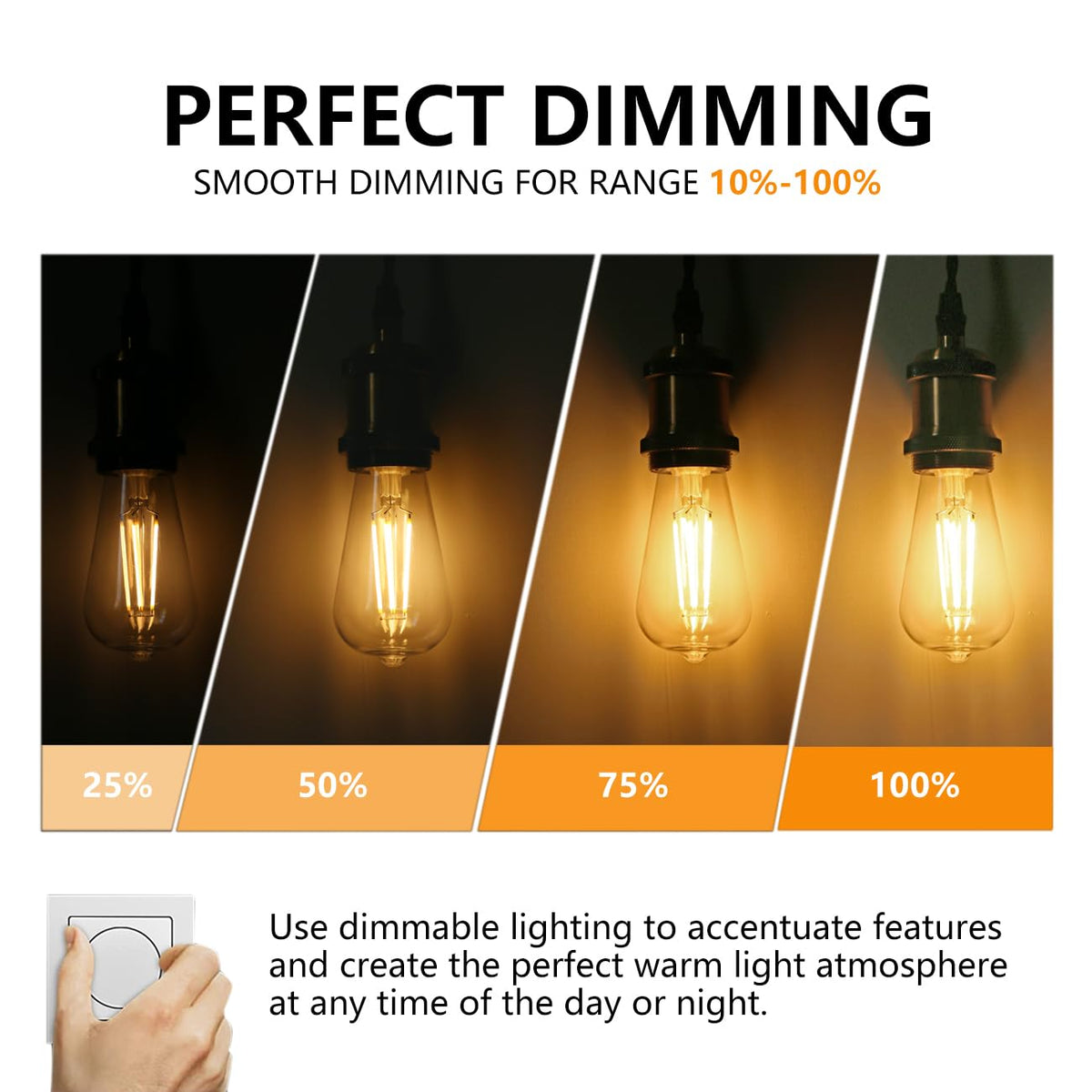 4Pack ST58 19 Vintage LED Edison Bulbs (2700k / 4 Pack)