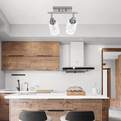 2 Light Rotatable Track Lighting Kit Spotlight Brushed Nickel (Brushed Nickel / 2-Light)