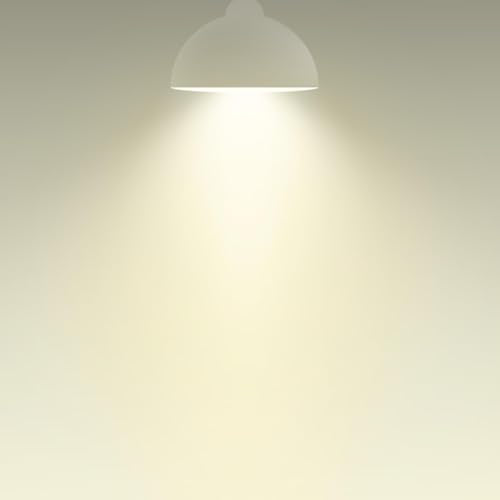 BR30 LED Light Bulbs Indoor Flood Light 65W Equivalent