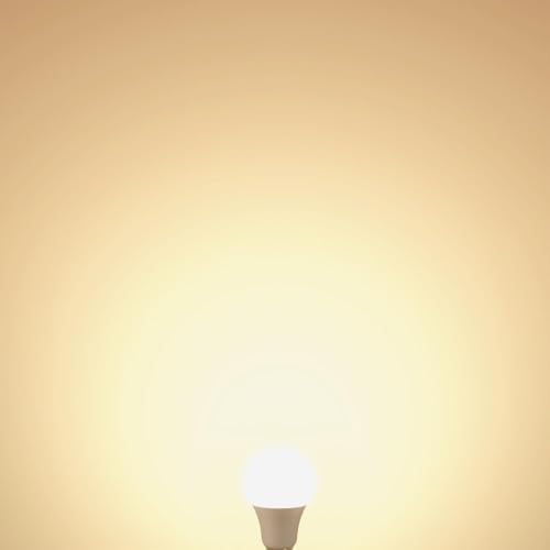 A19 LED Light Bulbs