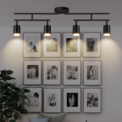 Black Track Lighting Kit (Black / 30" 4 Light Track Light)