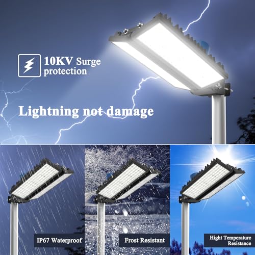 200W Dusk to Dawn Outdoor Light (100W*2-DTD)
