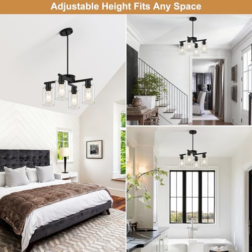 4 Light Black Farmhouse Chandelier (Black / 4-Lights/D18 '')