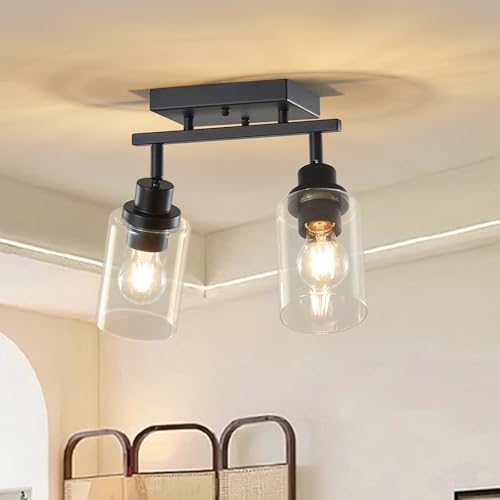 2 Light Kitchen Track Light Fixtures Ceiling Vanity Lights Black (Black / 2-Light)