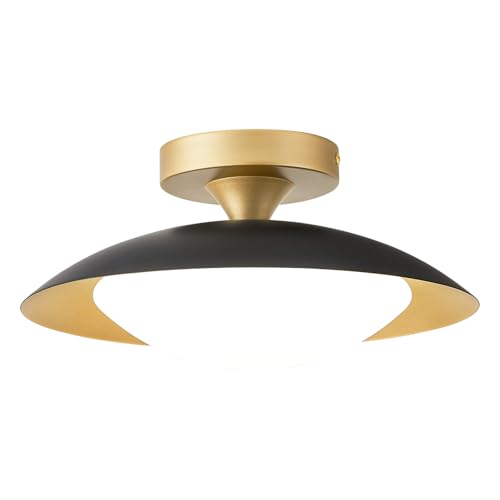 Dimmable LED Ceiling Light Fixture