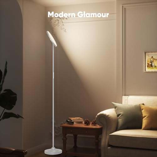 36W LED Floor Lamp (Silver)