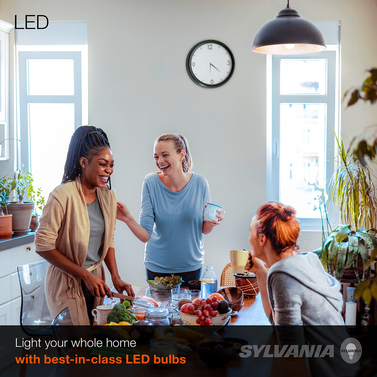 Sylvania LED Light Bulb (Daylight / 1 Count (Pack of 1) / 100W)