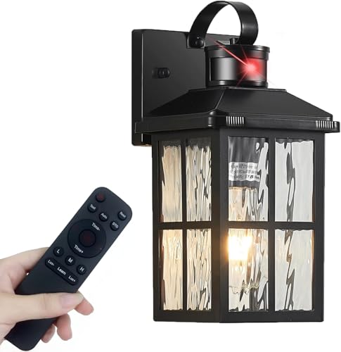 Porch Lights Outdoor with Remote (1 Black RW)