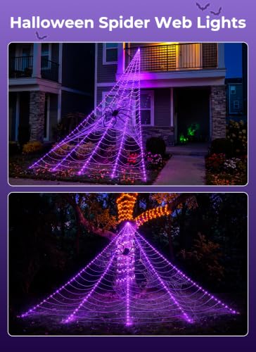Halloween Decorations Spider Web Lights (purple)
