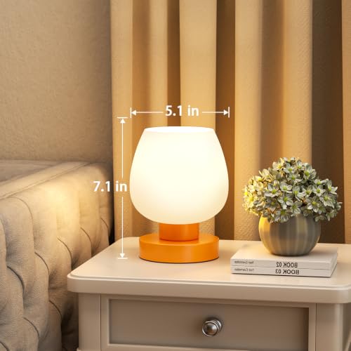 Small Touch Table Lamp for Nightstand (Orange)