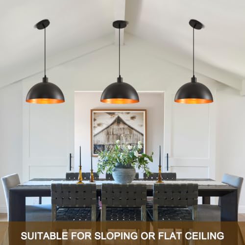Plug in Pendant Light