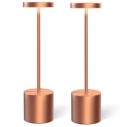 Set of 2 Cordless Rechargeable Table Lamps