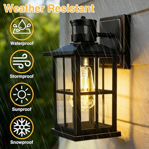 Outdoor Motion Sensor Light (Matte Black)