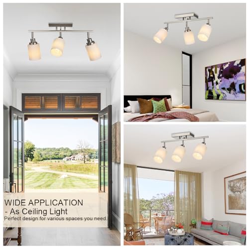 Track Lighting Fixtures Ceiling (Brushed Nickel / 3-Lights)