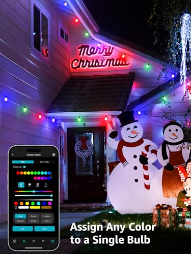 ZB1 AI Smart Outdoor String Lights (100 FT)