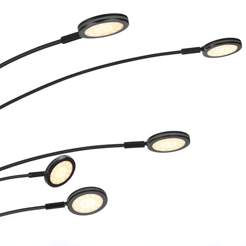 Orion Arc Floor Lamp for Living Room (Sanded Black)