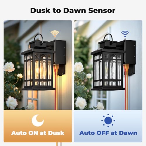 Exterior Lighting Fixtures with GFCI Outlet (Black / D2D 1-Pack)